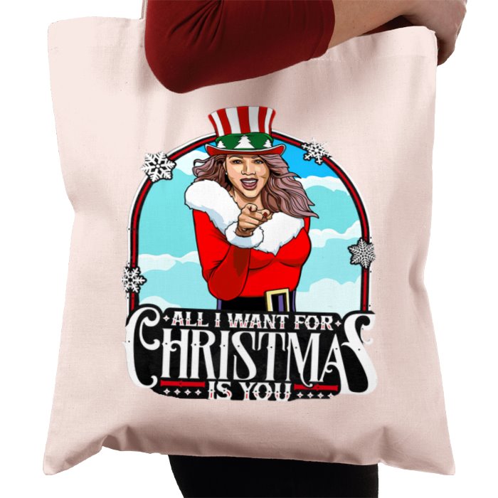 Mariah Carrey All I Want For Christmas Is You